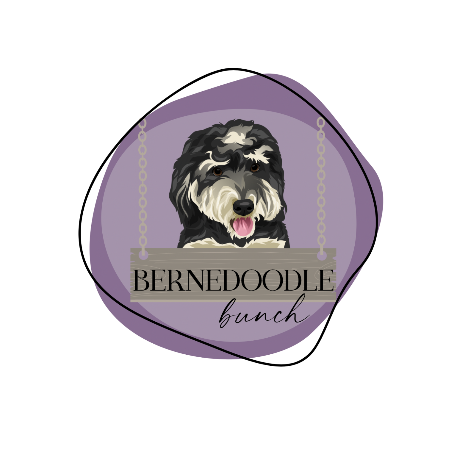 bernedoodle-bunch-mini-bernedoodle-puppies-in-cental-florida