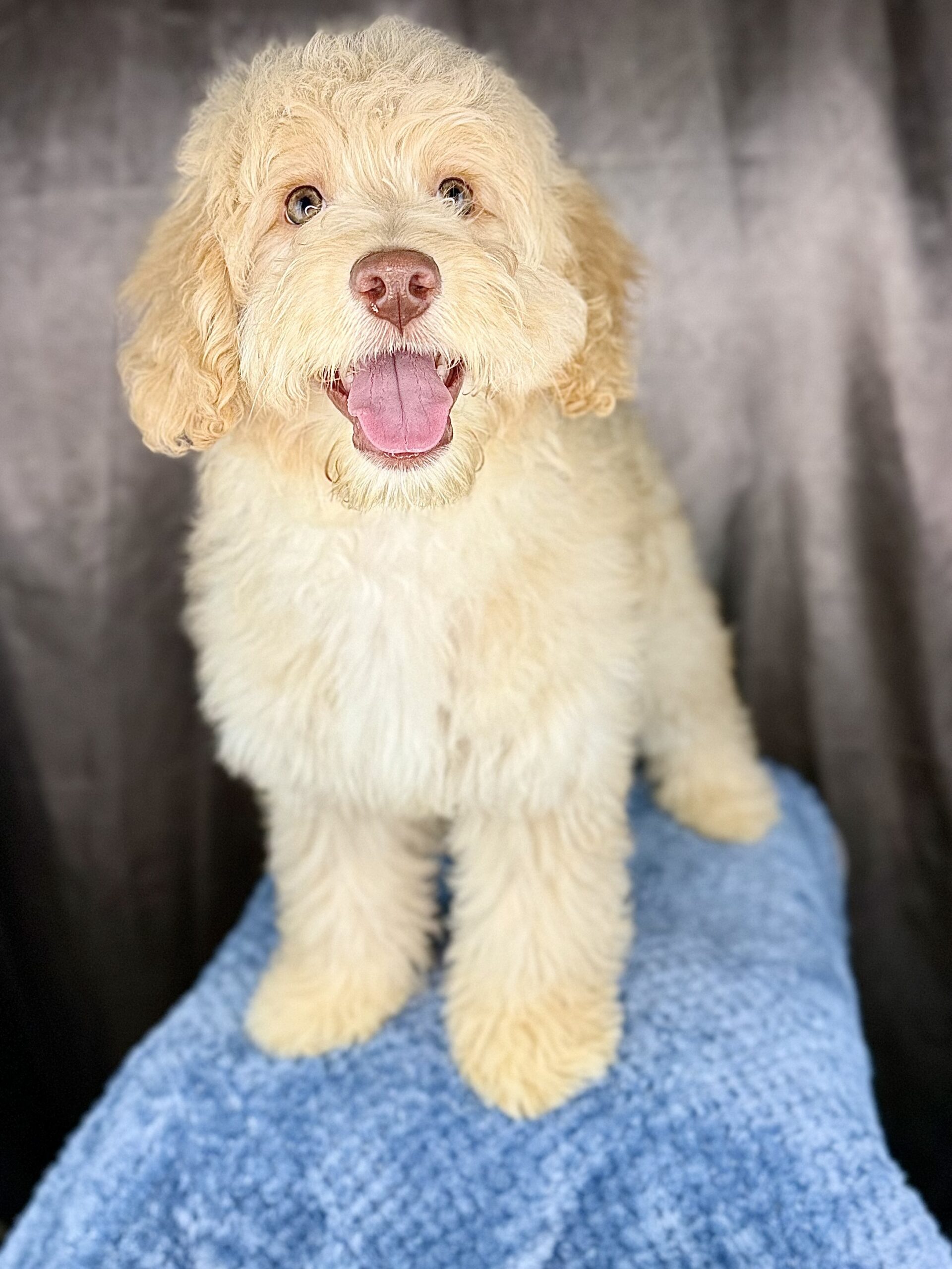 LEONARDO - DOB Dec 23, 2025